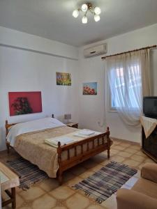 Μια τηλεόραση ή/και κέντρο ψυχαγωγίας στο Δελφίν