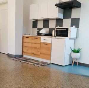 een keuken met een witte koelkast en een magnetron bij The SPiTi Project 13 in Kavala +6 foto's