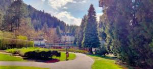 una casa in mezzo a un parco con alberi di Côté Jardin la belle époque a La Bourboule