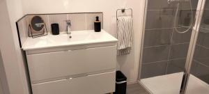 a bathroom with a sink and a shower at Côté Jardin la belle époque in La Bourboule