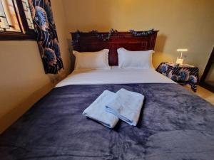 Ubuntu Hivve Hostel客房内的一张或多张床位