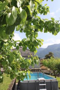 a view of a swimming pool through a tree at Casa vacanze Rosa in Barga