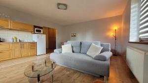塔查斯卡-鲁穆尼卡Apartmány u tatranky的客厅里有一张沙发和一个厨房