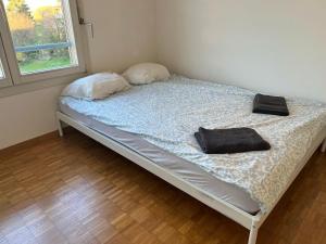 Gallery image of Huge Apartments, multiple Bedrooms with Balcony in Luzern Center - Self Checkin in Luzern +122 photos