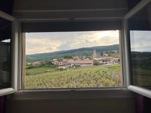a window with a view of a vineyard at La maison des vendangeurs in Vergisson