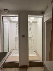 a bathroom with two showers and a bath tub at La maison des vendangeurs in Vergisson +5 photos