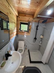 a small bathroom with a toilet and a sink at Mirsads Mountain Cottage in Plav