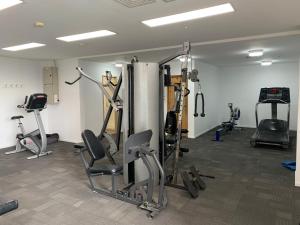 Fitness centrum a/nebo fitness zařízení v ubytování Imperial Garden