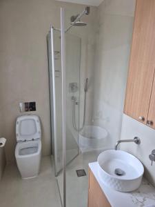 ein Badezimmer mit Dusche, Toilette und Waschbecken in der Unterkunft Cozy apt Paris centre, 5 mins Louvre in Paris