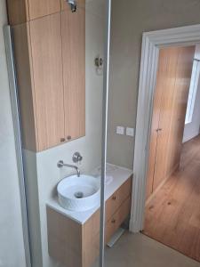 ein Badezimmer mit einem weißen Waschbecken und einer Dusche in der Unterkunft Cozy apt Paris centre, 5 mins Louvre in Paris