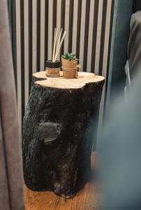 Gallery image of La Vida Apartments in Bar