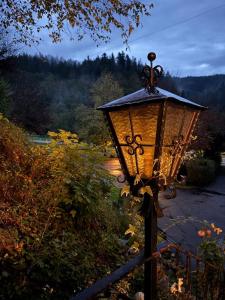 Gallery image of BE ME Black Forest Family Apartment -Zum Letzten G'Stehr in Bad Rippoldsau