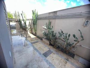 Φωτογραφία από το άλμπουμ του Unique appartement au rez du chaussé σε El Haouach +2 φωτογραφίες