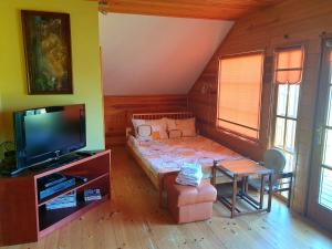 a living room with a bed and a tv at Vakarvēji in Mujani