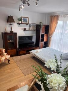 a living room with a bed and a television at Pinares de Boo in Boó de Piélagos