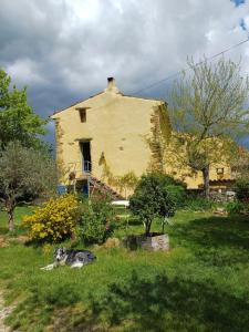 a dog laying in the grass in front of a house at Chambre 4 personnes in Ongles