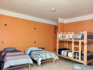 two bunk beds in a room with orange walls at Family Surf Chicama in Puerto Chicama