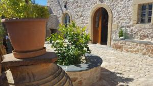 a stone building with two large pots of plants in a yard at Corones House in Frilingiánika