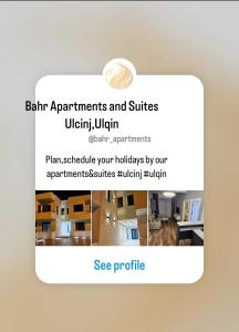 a screenshot of a website with a picture of a cat at Bahr DELUX App & Suite in Ulcinj