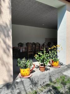 Φωτογραφία από το άλμπουμ του Qax Ağçayda EVLƏR σε Qax