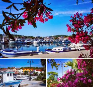 Phong cảnh thiên nhiên gần căn hộ