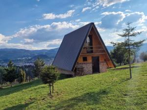 a wooden house on a hill with a green field at Vikendica Tromedja Pale in Pale