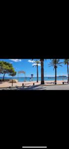 een uitzicht op een strand met palmbomen en de oceaan bij Appartement chaleureux climatisé in La Ciotat
