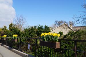 Giardino di Ardrinane House