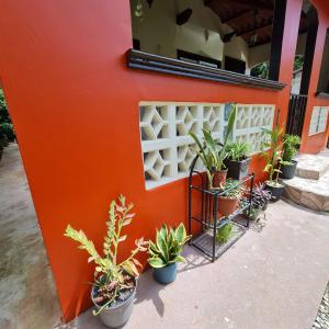Aed väljaspool majutusasutust Casa-cabaña Jefe Indio /Playa Cacique