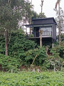a tree house in the middle of a forest at The Tree House in Vythiri