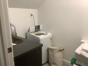 a small bathroom with a sink and a washing machine at Empire Apartments in Dunedin +1 photo