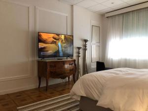 TV a/nebo společenská místnost v ubytování Elegant Studio in the Heart of Monte Carlo