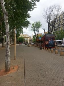 una calle con un árbol y un autobús de dos pisos en Preciosas vistas Alameda, en Sevilla
