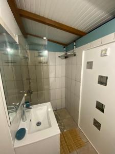 Koupelna v ubytování La Suite Odile Piscine + 18 fotografií