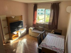 a living room with a couch and a table and a television at AP familiar com parquinho perto do centro in Pelotas