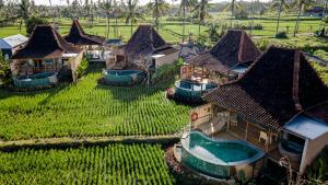 Vrt pred nastanitvijo DITUJU Ubud by Pramana Villas
