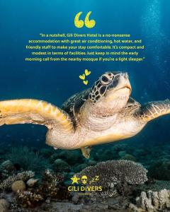 a green sea turtle swimming in the ocean at Gili Divers Hotel in Gili Trawangan +53 photos