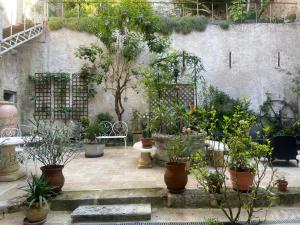 Κήπος έξω από το Chambre Veteranova +15 φωτογραφίες