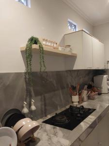 a kitchen with a stove and a green plant at Kenka Homestay in Jetis