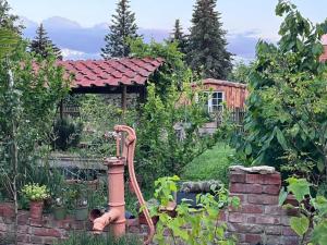 un jardín con una fuente de agua en el patio en Spindlerhof am Harz, en Langeln