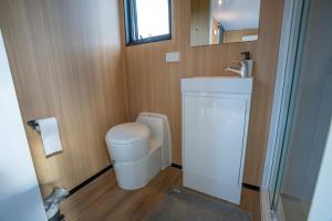 a bathroom with a toilet and a sink and a mirror at The Fog Getaway 2 by Tiny Away in Boolambayte