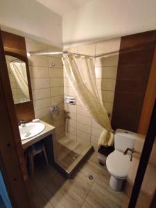 un bagno con doccia, WC e lavandino di Ενοικιαζόμενα Δωμάτια Ενιπεύς- Rooms Enipeas a Litóchoron