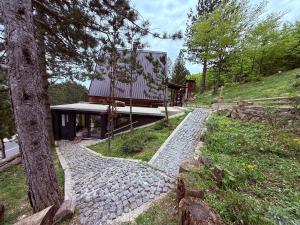 a house on a hill with a stone path at Cabin Rujište in Padežina