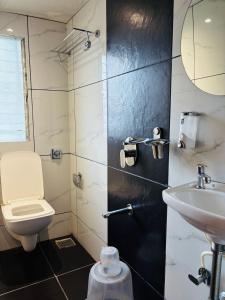 ムンバイにあるHotel Airport By TMAのトイレと洗面台付きのバスルーム