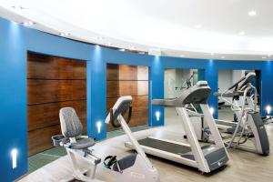 Fitness centrum a/nebo fitness zařízení v ubytování NH Vienna Airport Conference Center