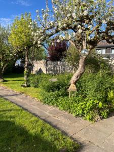 Zahrada ubytování "Ohuus" Ferienhaus mit Garten + 14 fotografií