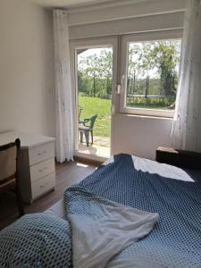 彼得罗瓦拉丁Apartman EXIT-TVRĐAVA的一间卧室配有一张床、一个窗口和一张书桌