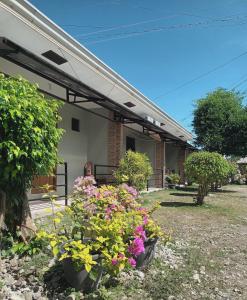 Κήπος έξω από το Grae’s Apartelle