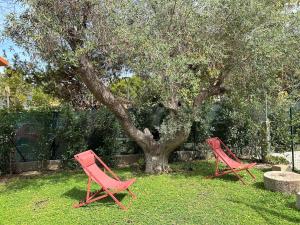 Κήπος έξω από το LaValeHouse