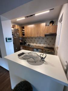 Dapur atau dapur kecil di Kovači Residence